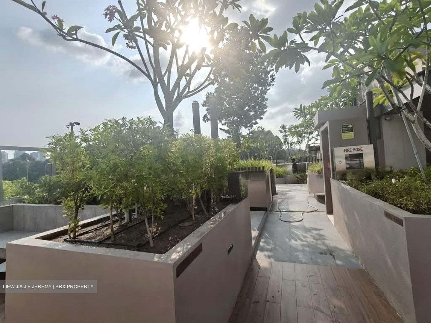 Orchard Sophia (D9), Apartment #604960641